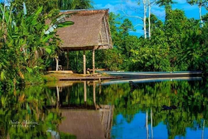 Misahualli Laguna Paikawe B&B Exteriör bild