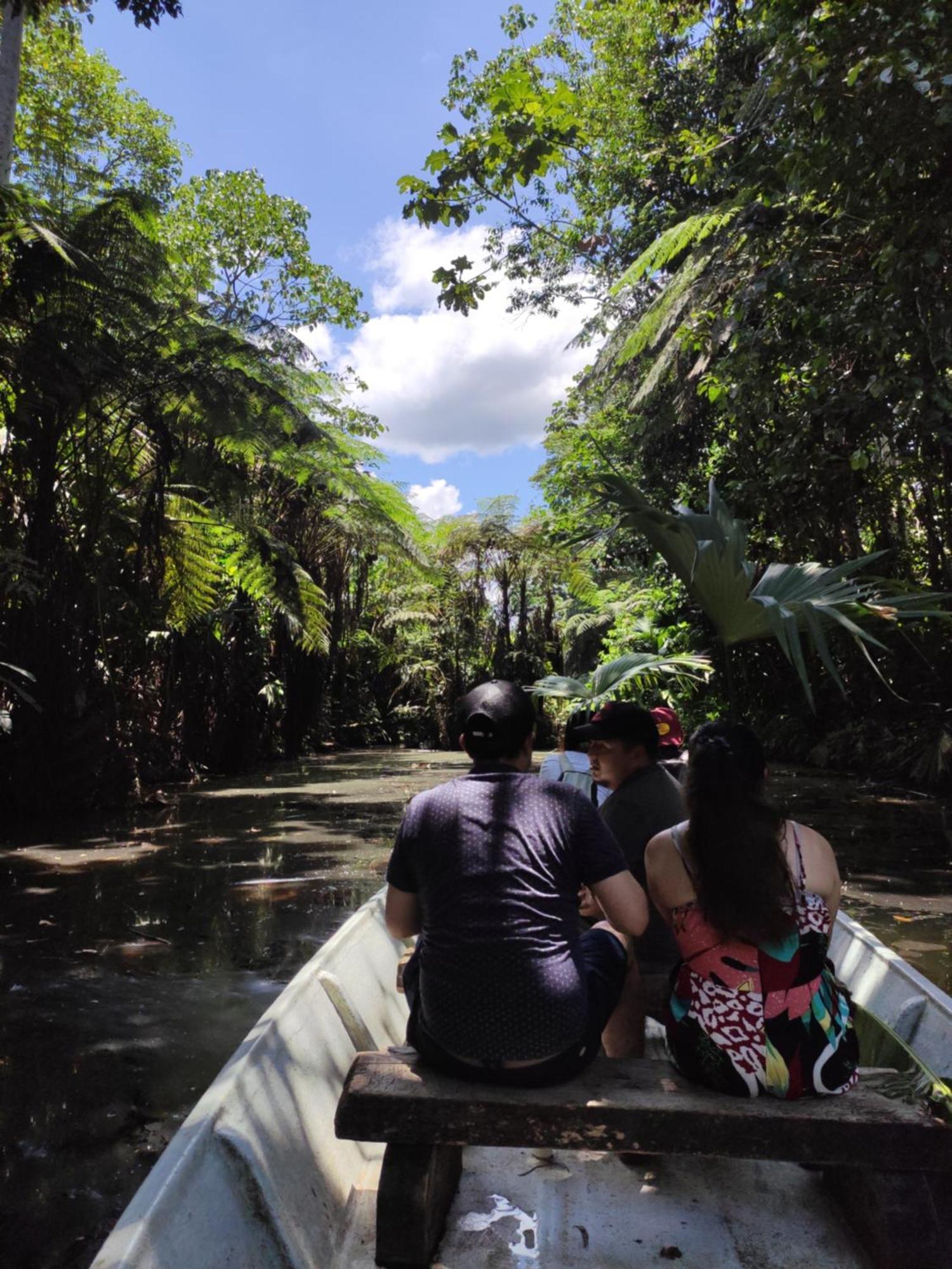 Misahualli Laguna Paikawe B&B Rum bild