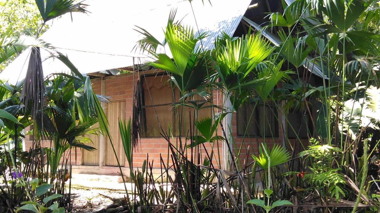 Misahualli Laguna Paikawe B&B Exteriör bild